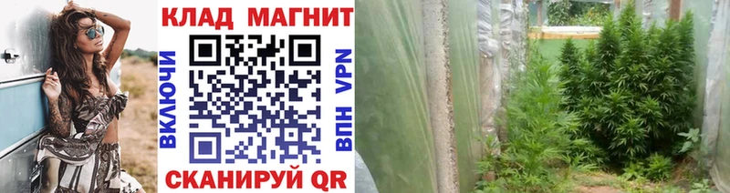 Купить наркотики Гдов Гашиш  Меф мяу мяу 
