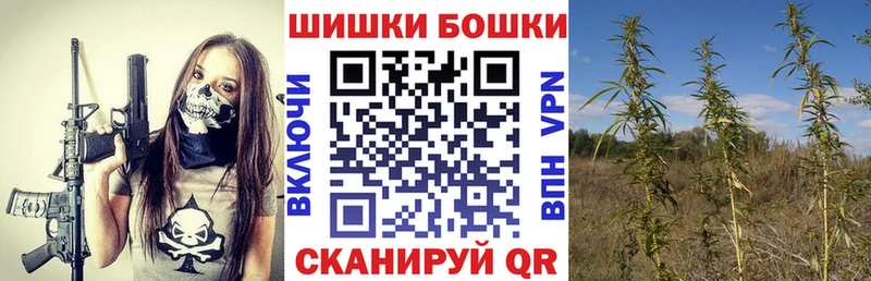Шишки марихуана конопля  где продают наркотики  Гдов 
